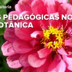 Curso de Extensão Universitária – “Estratégias Pedagógicas no Ensino de Botânica: A Importância das Aulas Práticas”