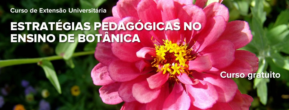 Curso de Extensão Universitária – “Estratégias Pedagógicas no Ensino de Botânica: A Importância das Aulas Práticas”